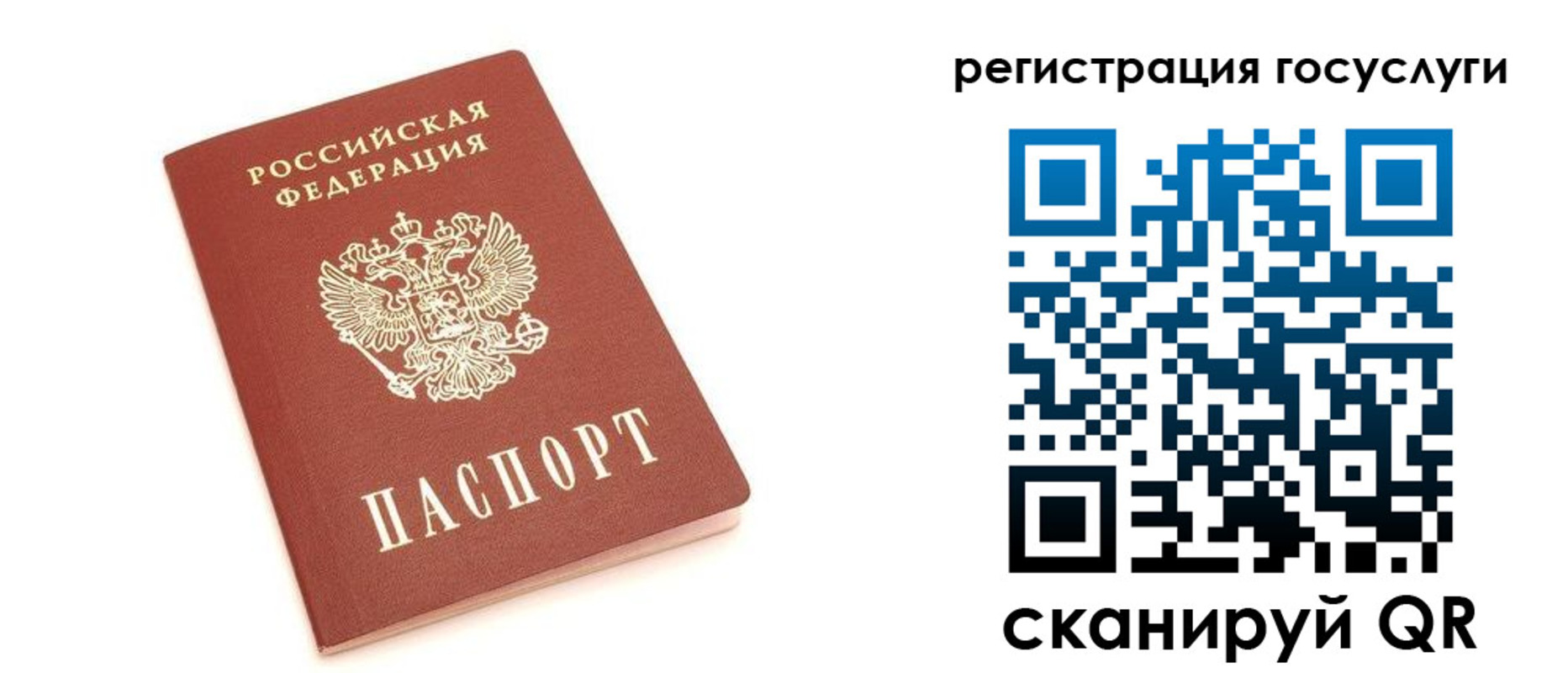 прописка 2025 в Фрязино